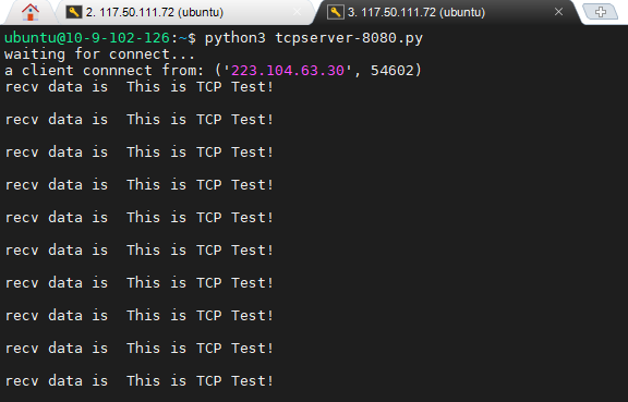 tcp_example_result_server1