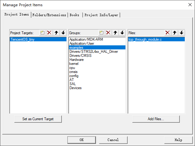 add_example_file_to_project