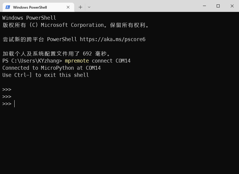 basic_demo_repl